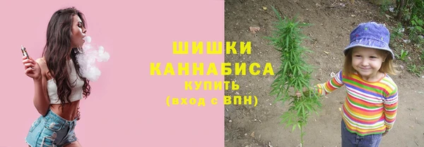 сатива Елизово