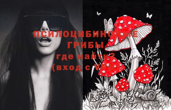 сатива Елизово
