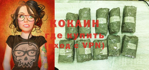 сатива Елизово