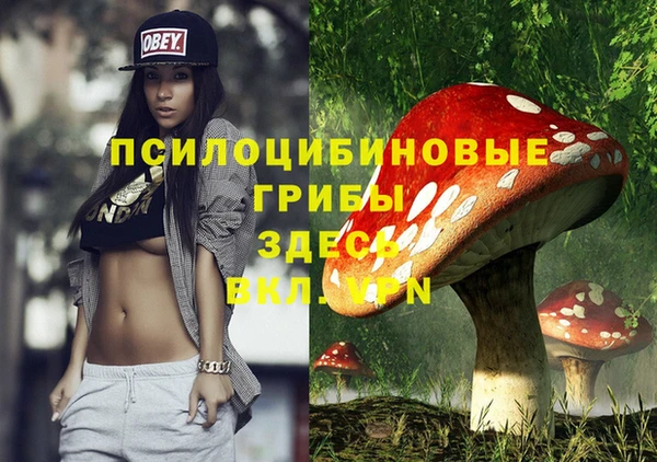 твердый Елабуга