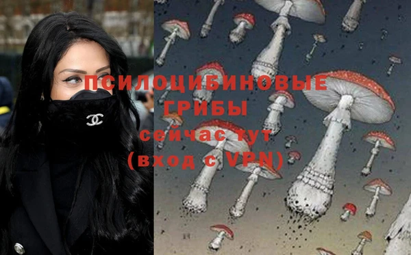 сатива Елизово